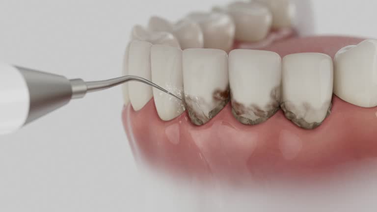 Reliable Dental contractor in Lapeer, MI by Dentist Open Now
